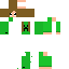Texture for creeper