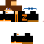 Texture for Zerix Original Skin