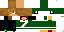 Texture for MN Wild
