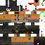 Texture for steve