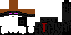 Texture for average ender