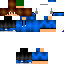 Texture for igor