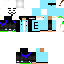 Texture for erik