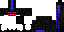 Texture for ENDERMAN