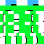 Texture for SIHNN