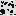 Texture for Birch