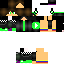 Texture for steve