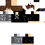 Texture for Botx HD3