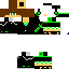 Texture for Steve