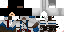 Texture for Assassin