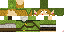 Texture for LinkLoco
