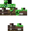 Texture for tim