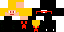 Texture for NINJA