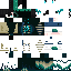 Texture for new head