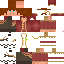 Texture for Sir Debastian VI