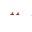 Texture for pooop