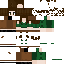 Texture for 4