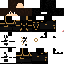 Texture for ninja