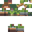 Texture for tf21