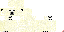 Texture for ホッキョクグマ