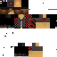 Texture for STD