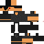 Texture for  [snapshot]