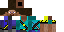 Texture for Steve 1