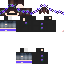 Texture for 1337