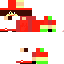 Texture for CHRIS2