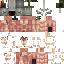 Texture for Knight-NMS-2.0