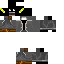 Texture for PlaNTer
