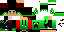 Texture for ds