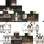 Texture for Attack