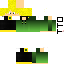 Texture for fs