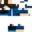Texture for VICTOR