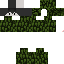 Texture for dsd