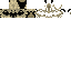 Texture for Cameça do Jahn