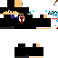 Texture for jp500