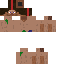 Texture for zohan