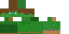 Texture for Steve
