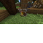 Texture for SkinAlphaLycus