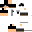Texture for logit  triste