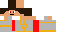 Texture for Light Paladin