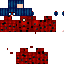Texture for Pretty Ladybug 1