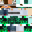 Texture for steve