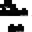 Texture for Leocoout