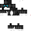 Texture for DART