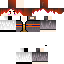 Texture for マインクラフトスキン