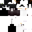 Texture for phantom2550