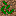 Texture for roots